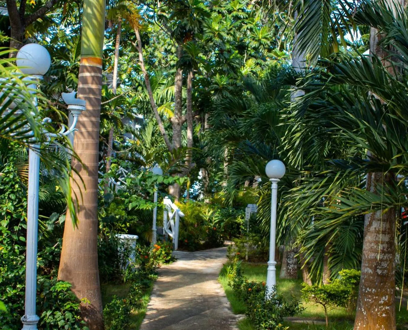 Merrils Deluxe At Veraclub Negril Hotel